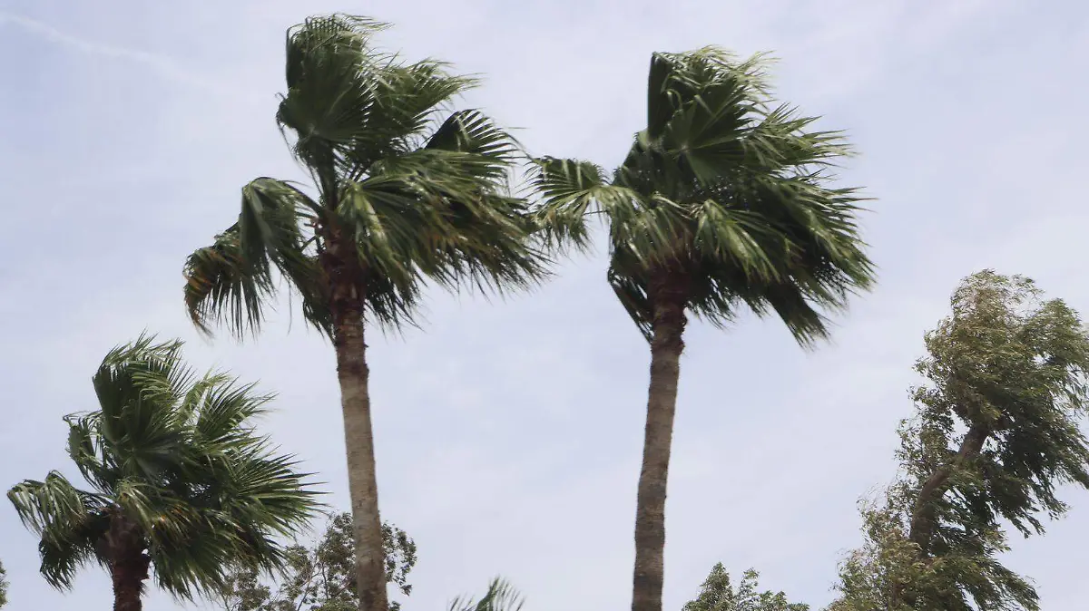 cf936372-1325-456f-8d27-efbb21b1d0c3