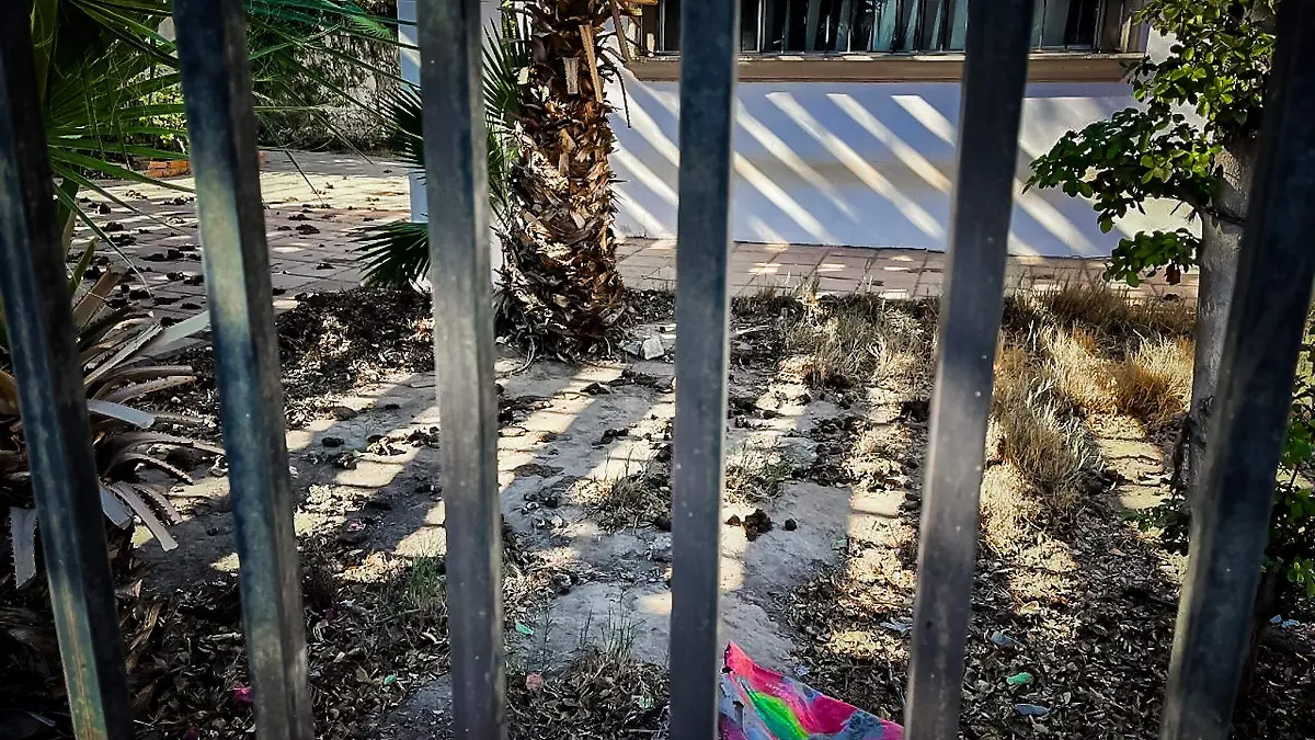 Señalan foco de infección y presunto caso de maltrato animal