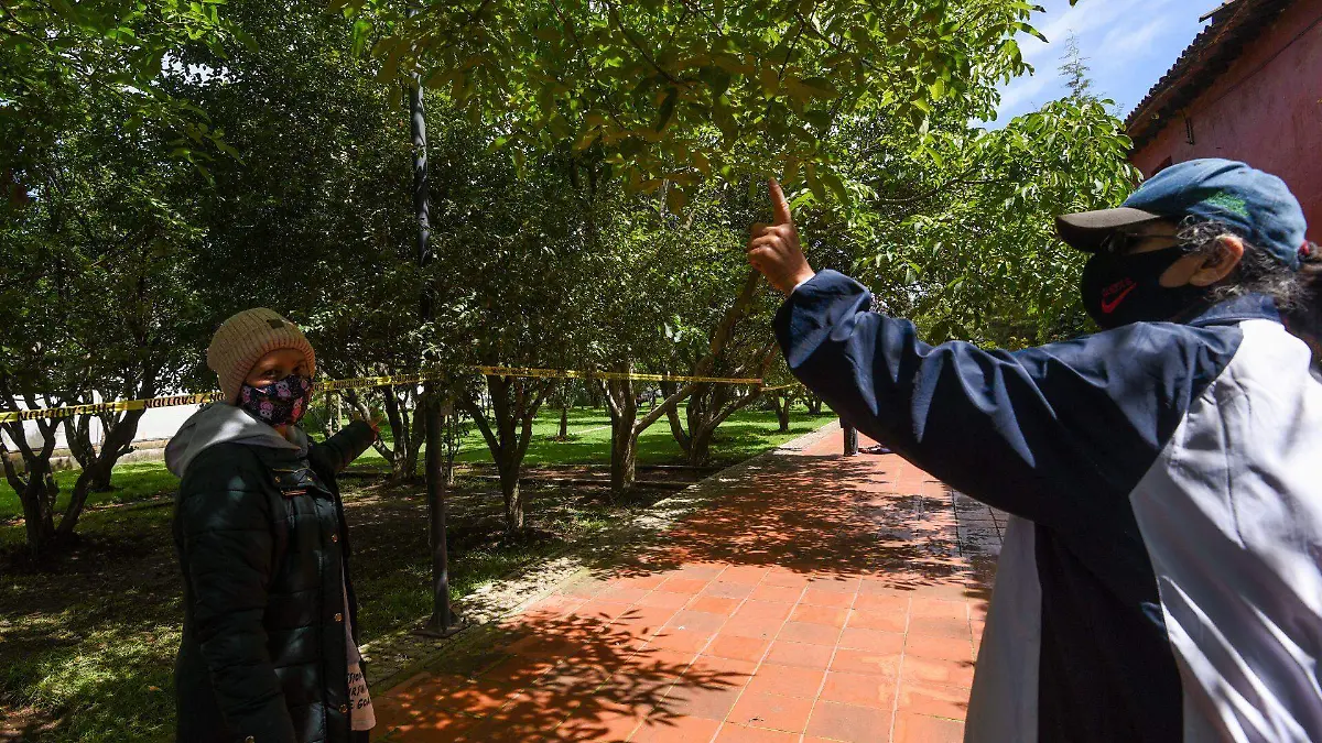 885401_Defienden áreas verdes en Calimaya -5_web