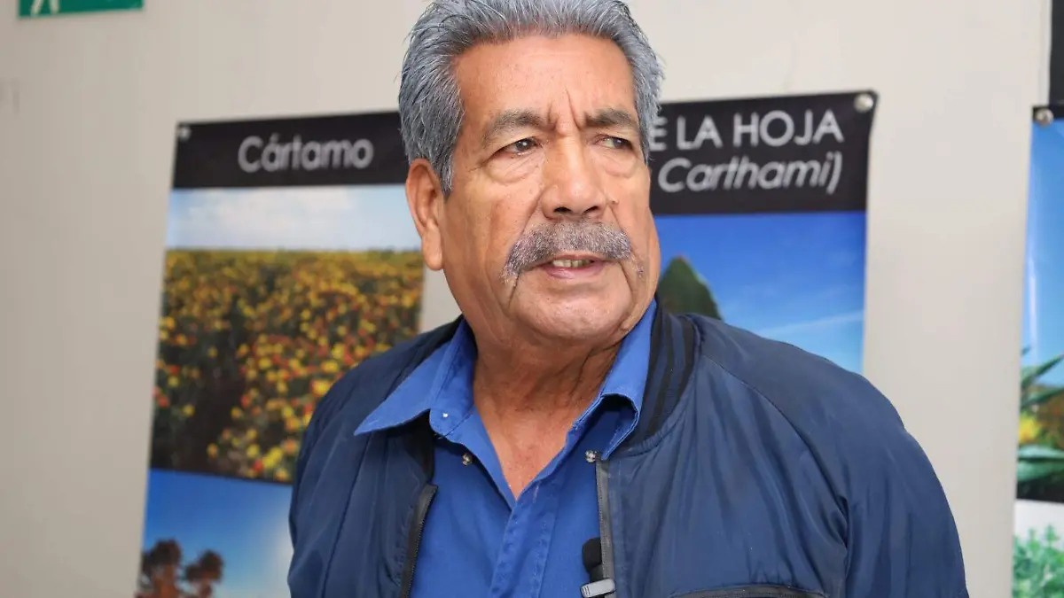 Mario Camarillo Pulido