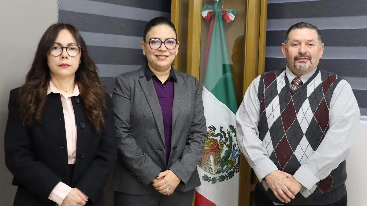 Los integrantes del comité designado por el Congreso de Baja California María Isabel Herrera Covarrubias, Fernando Manuel Castro Figueroa y Cruz Amelia Ahumada Luna, mientras que por parte del Poder Judicial del Estado lo integran Rocío Karina Cano Albañez, Cinthya Erika Gómez Tagle Bravo y Luis Sandoval Figueroa