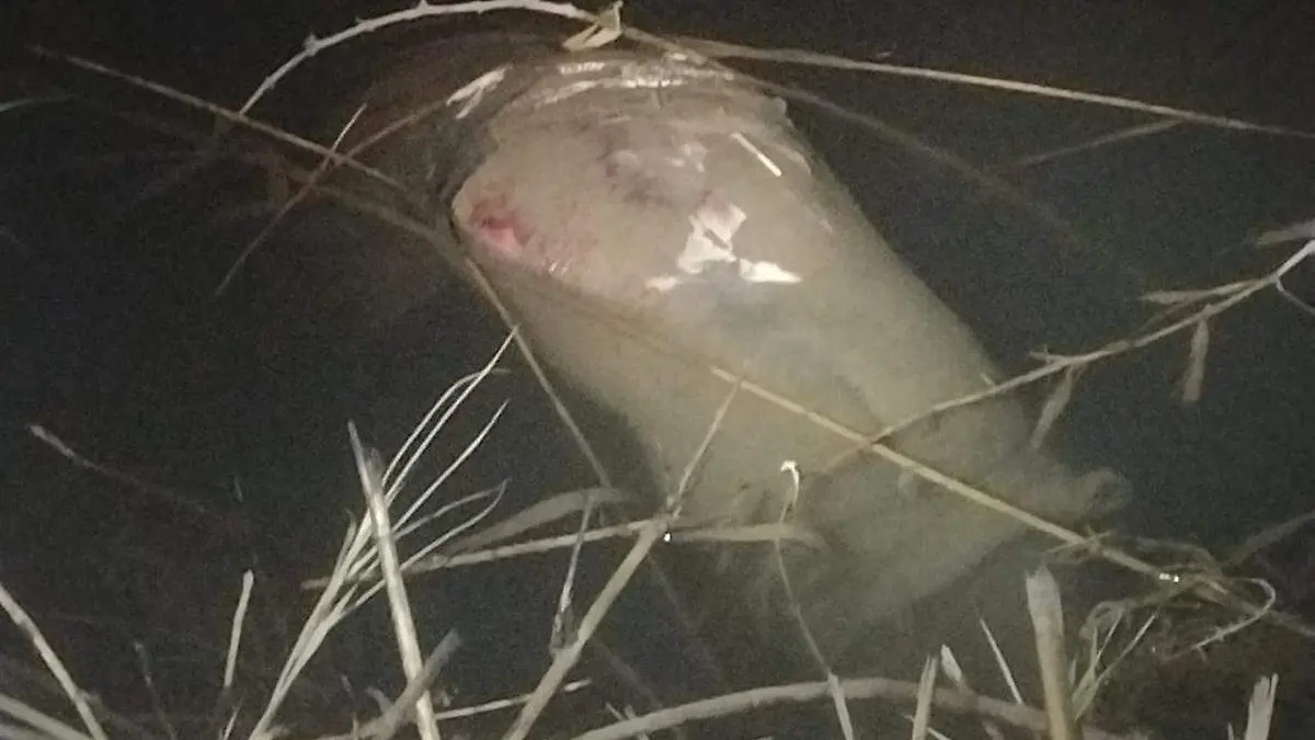 4a948922-b152-4443-a1bc-b1b7b86041c5