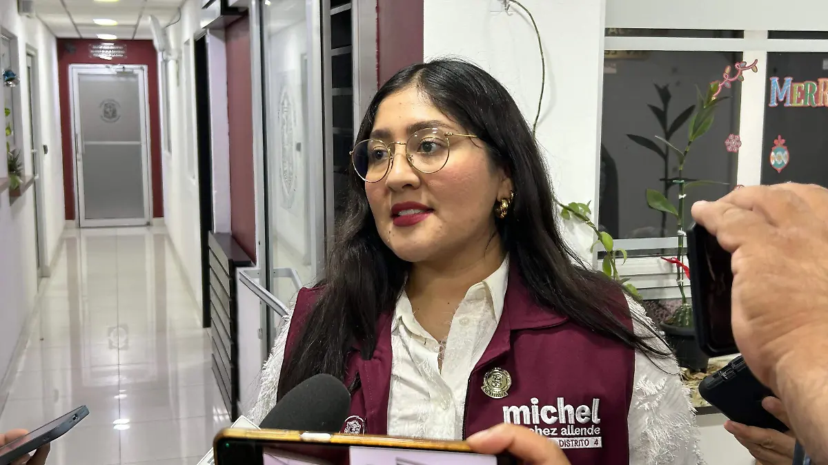 Diputada local, Liliana Michel Sánchez Allende.