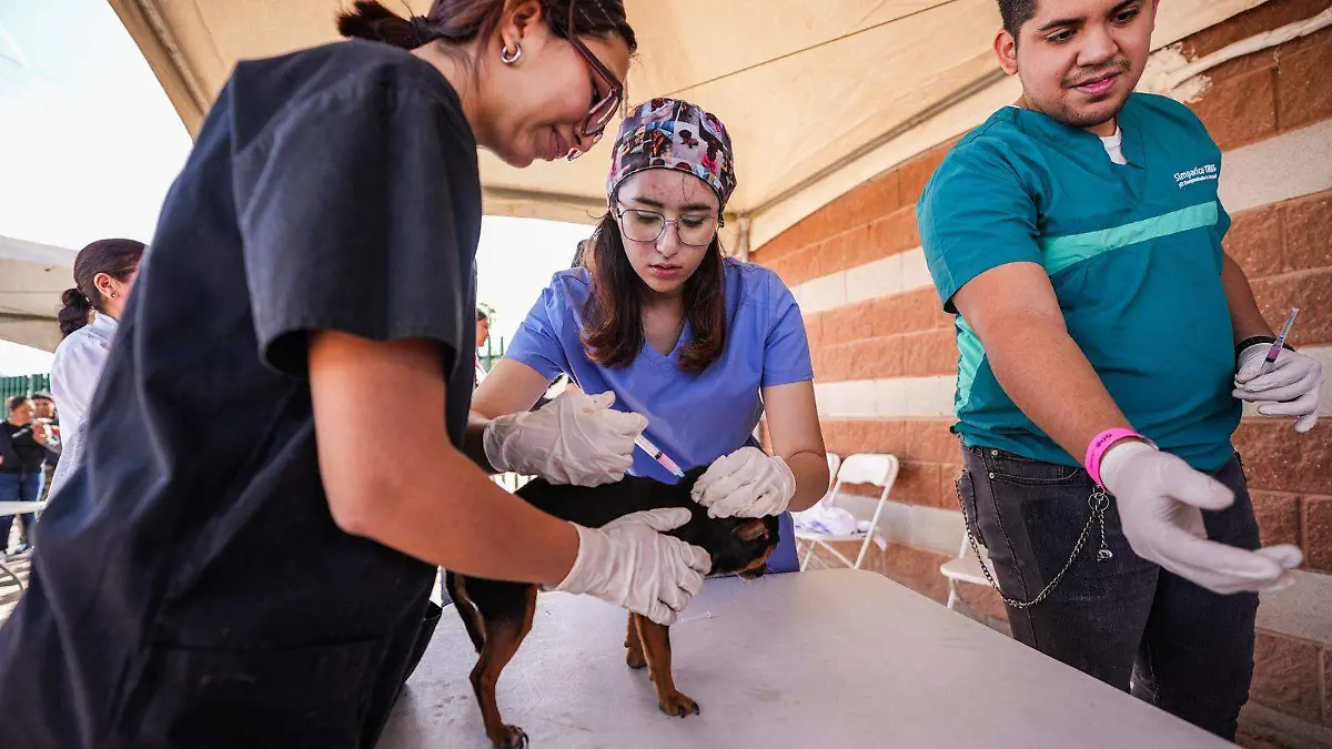 Servicios de odontología, los más requeridos en brigadas de UABC