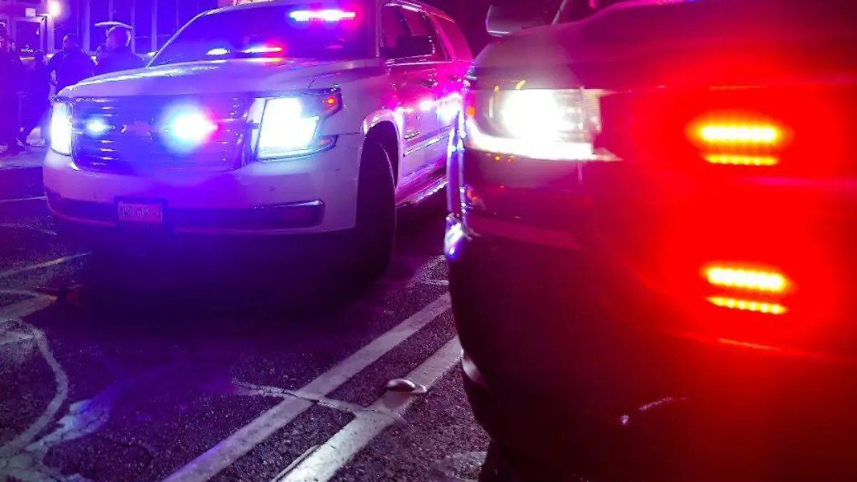 WhatsApp Image 2025-03-02 at 12.23.54 PM