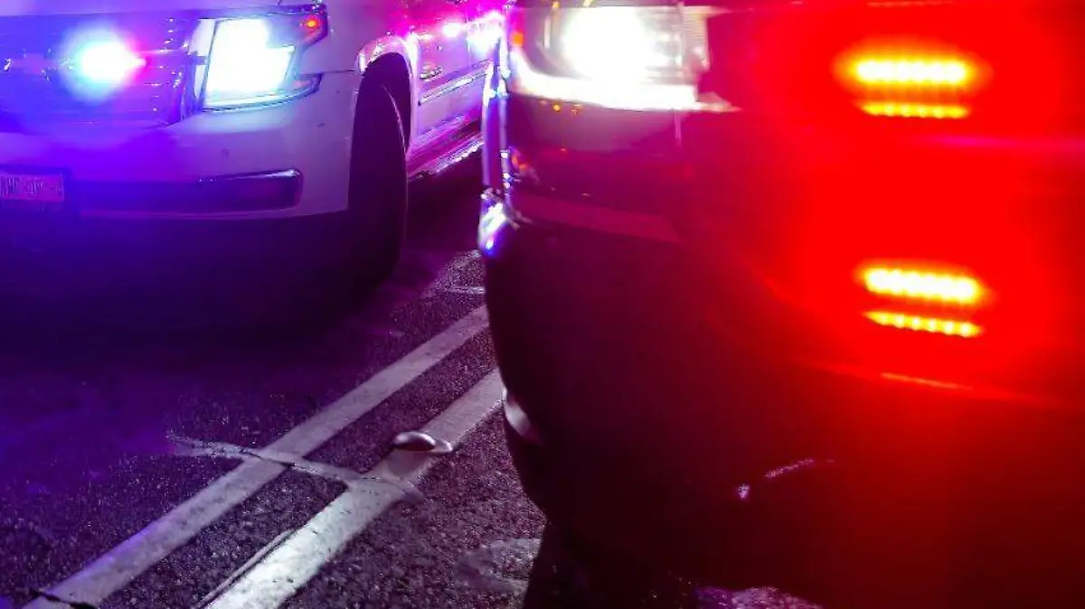 WhatsApp Image 2025-03-02 at 12.23.54 PM