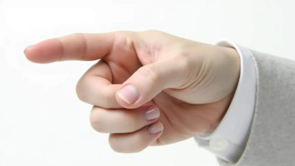 Procedimiento personal unilateral discrecional (mejor conocido como dedazo)