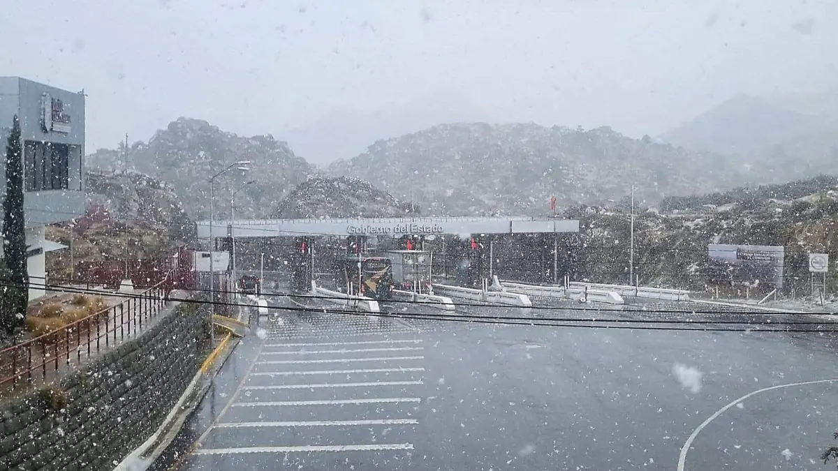 WhatsApp Image 2025-03-13 at 10.53.08 AM (1)