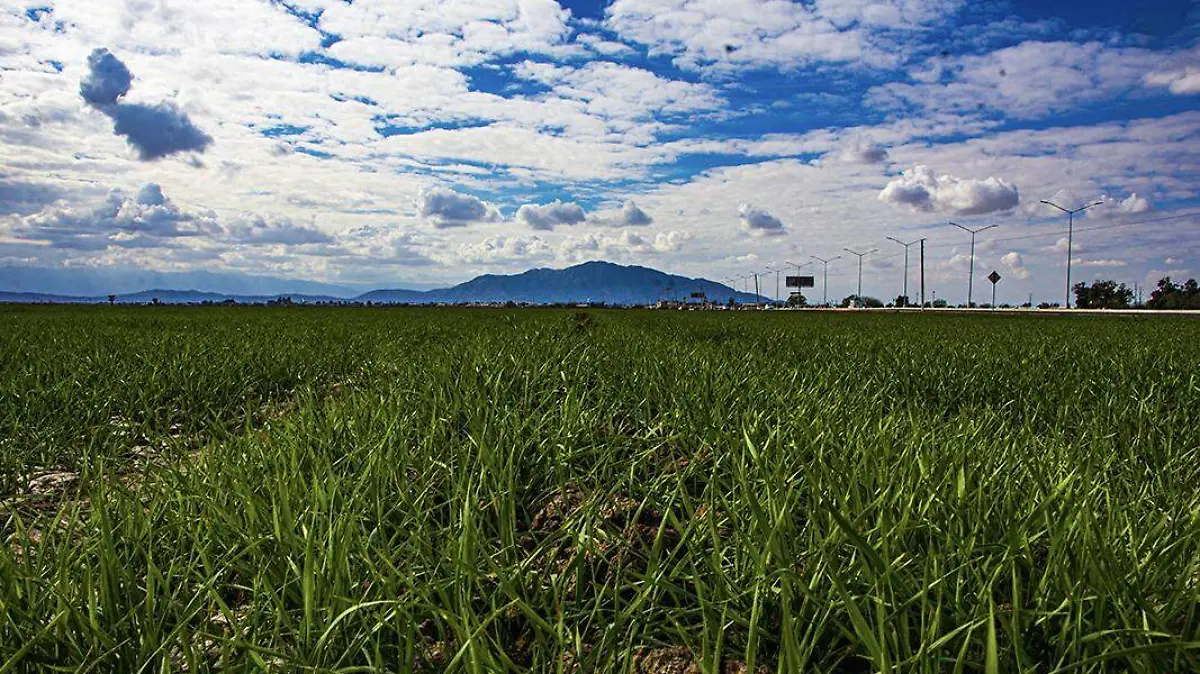 El cerro de El Centinela