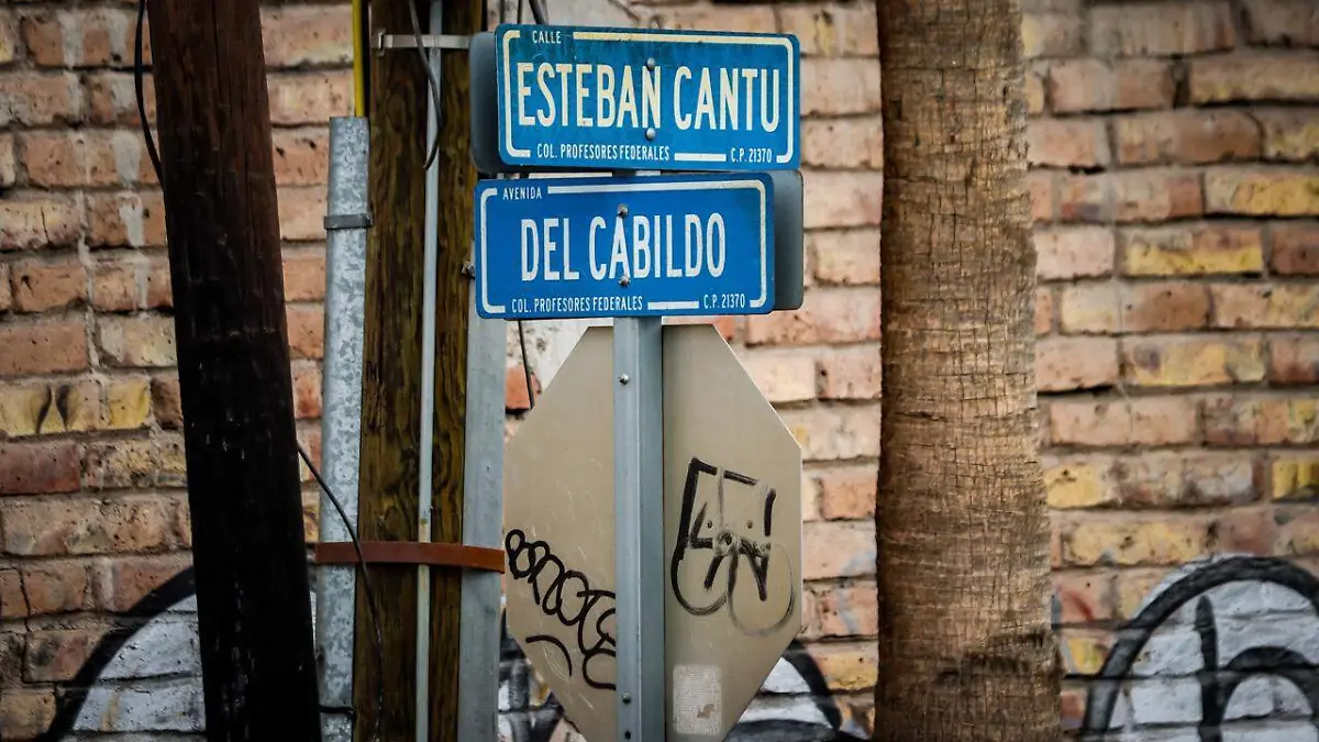 Hay alrededor de 5 planteles de distintos niveles educativos, por lo que podría poner en riesgo a menores de edad