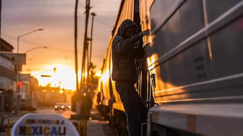 La rutina diaria de los cachanillas en movimiento.