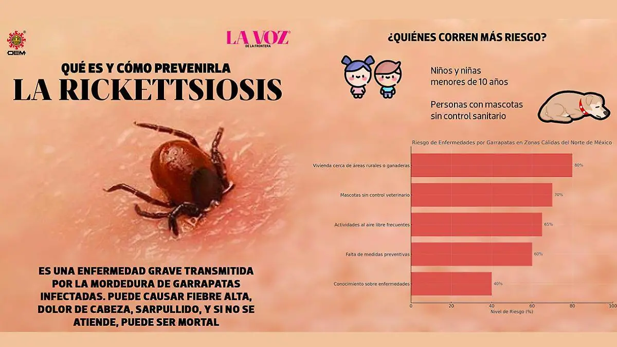 Mexicali lidera en muertes por rickettsia en 2025; autoridades alertan sobre aumento de casos