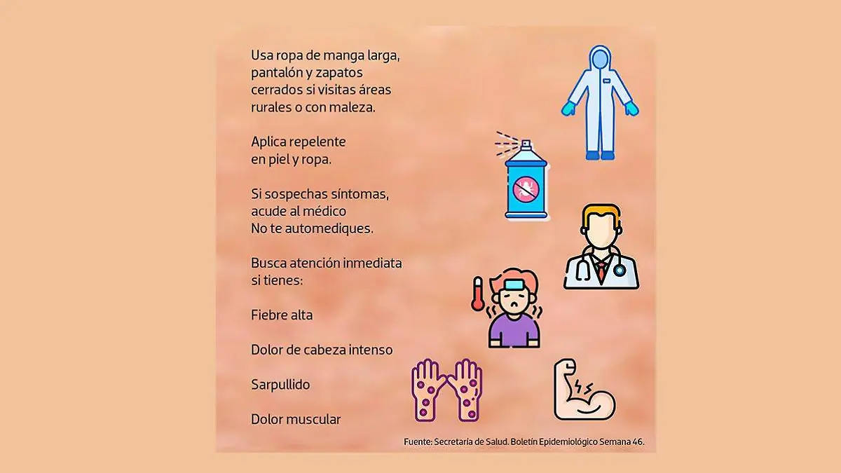 Rickettsia en Mexicali: el municipio con más casos y muertes en Baja California