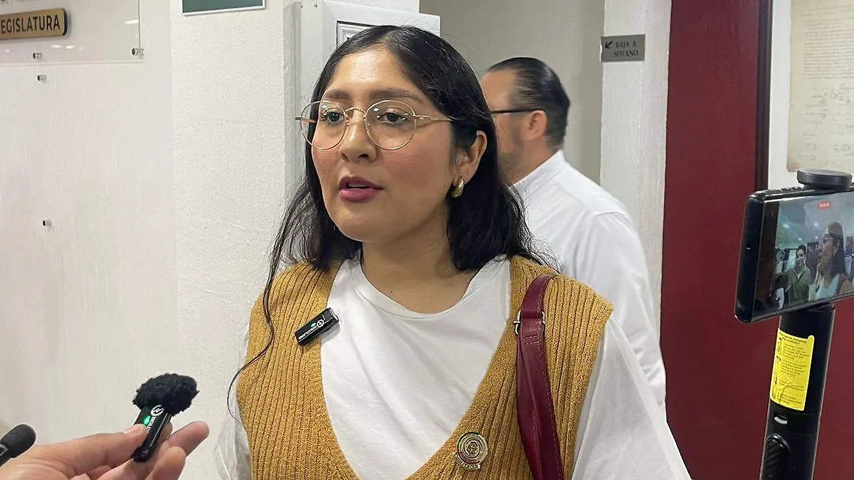 Michel Sánchez Allende, diputada