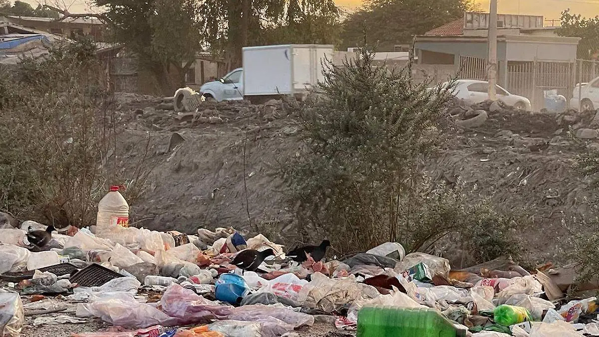 Dren basura carranza