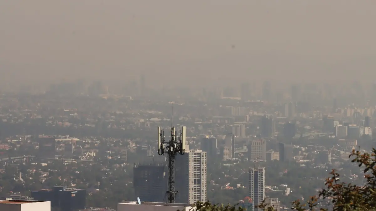 Contaminación ambiental