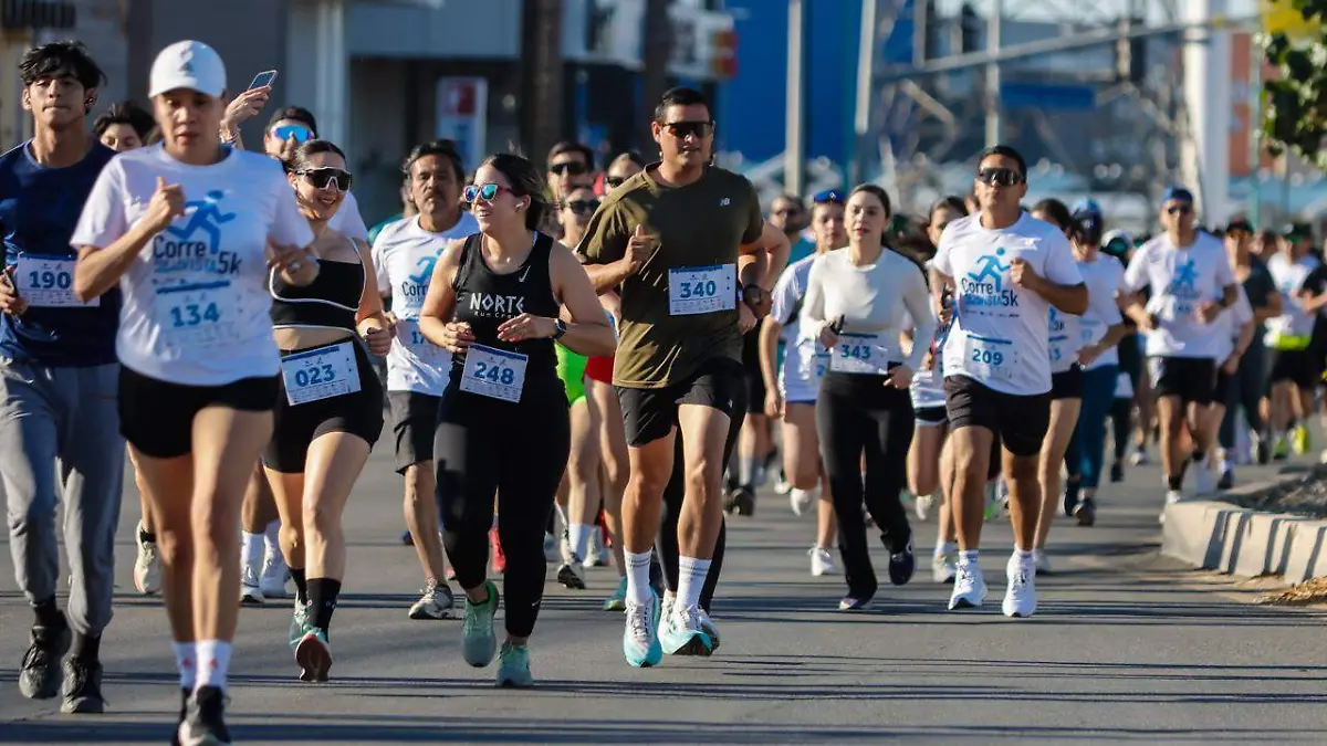 Cachanillas corren por la vista