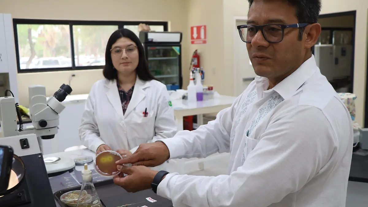 Alondra Castro y David Gonzalez ICA UABC