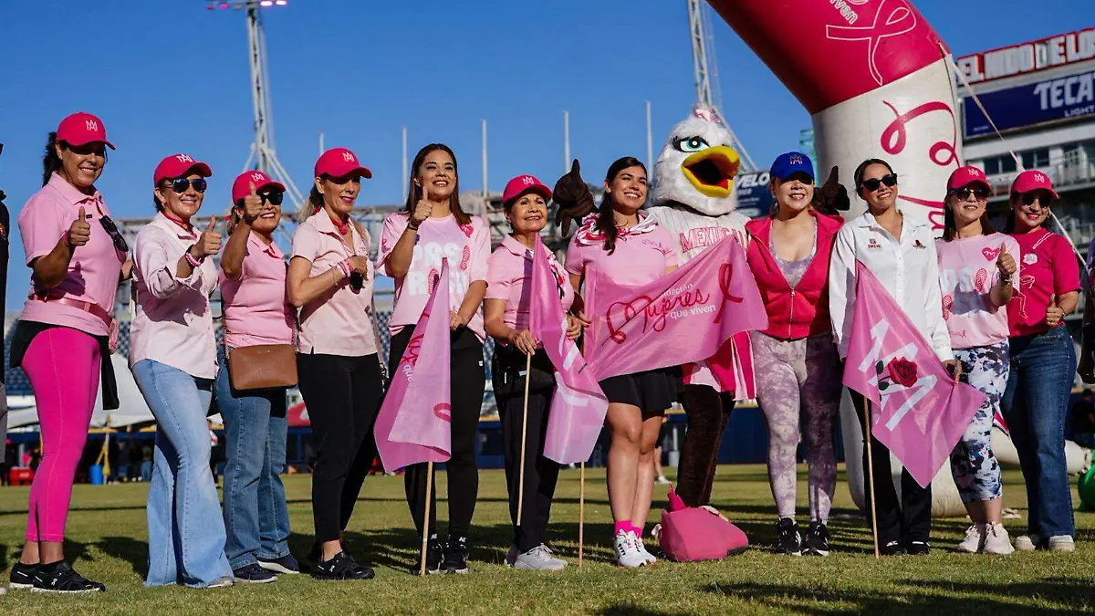 Cientos de cachanillas participaron en la octava edición de Paso Rosa