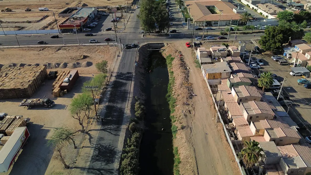 Para evitar los moscos, se recomienda revisar los niveles de cloro en las albercas, vaciar depósitos de agua estancada y recipientes o cubetas