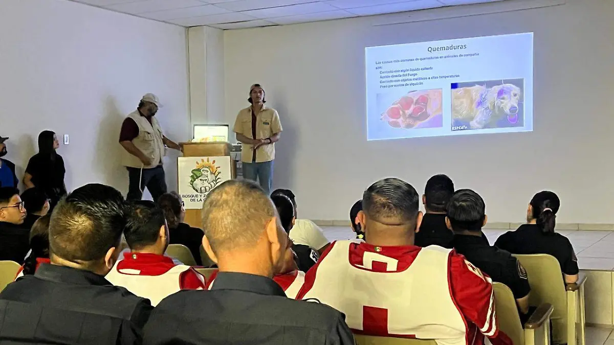 Capacitan a bomberos y paramédicos sobre primero auxilios para animales