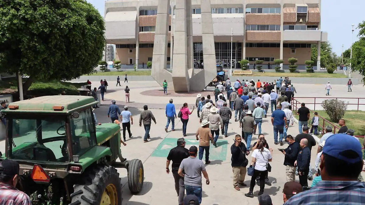 WhatsApp Image 2023-05-02 at 2.08.10 PM