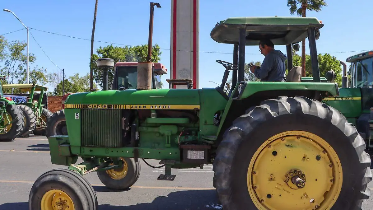 WhatsApp Image 2023-04-19 at 10.44.03 AM