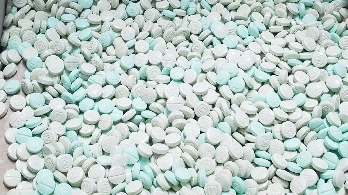 WhatsApp Image 2023-01-21 at 11.44.29 AM (1)