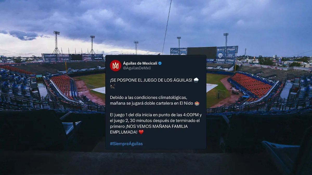 WhatsApp Image 2023-12-22 at 2.38.04 PM