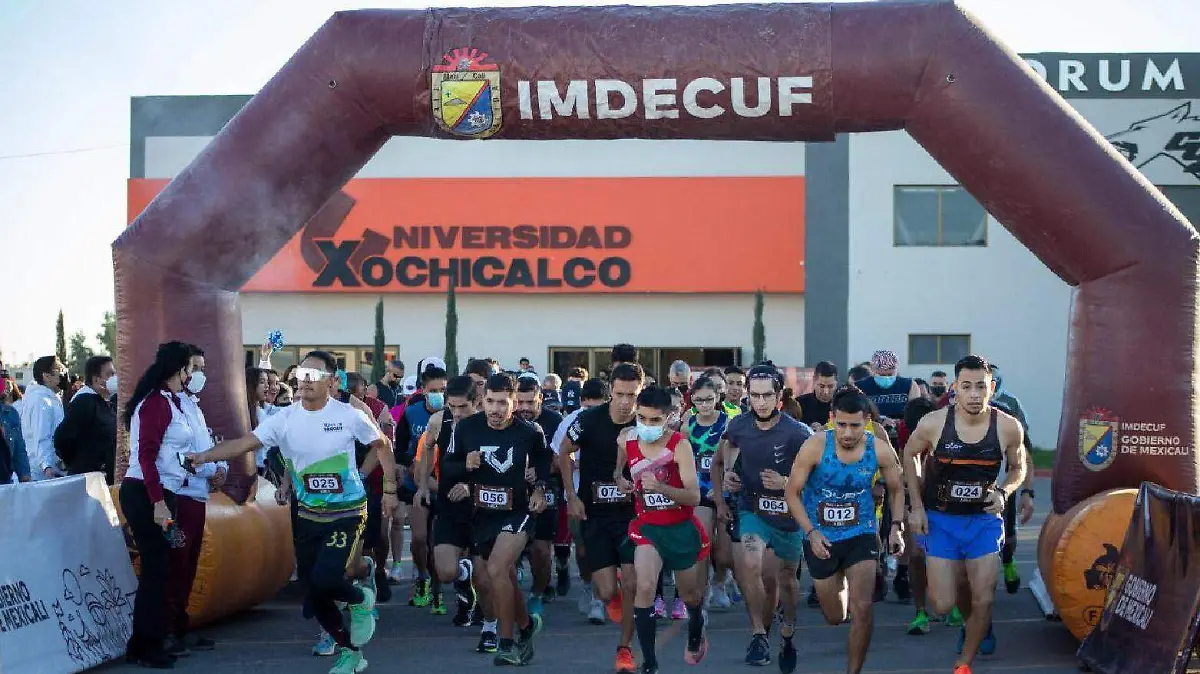 NOTA 01 Calendario-01