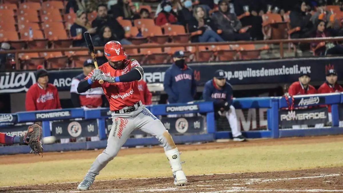 WhatsApp Image 2022-12-01 at 9.32.25 PM