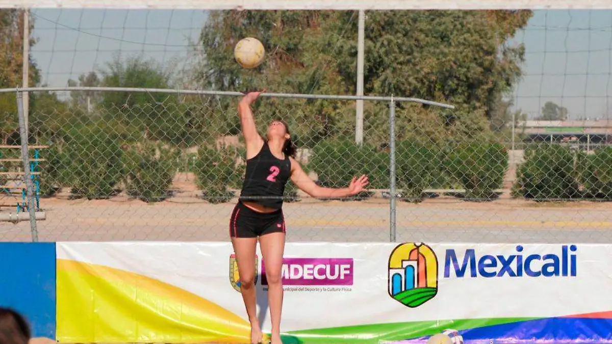 NOTA 01 VOLEI