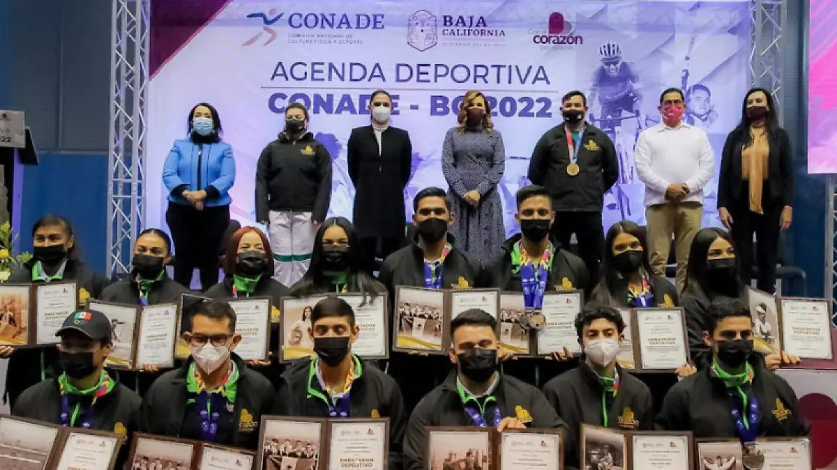 Captura de pantalla (264)-01