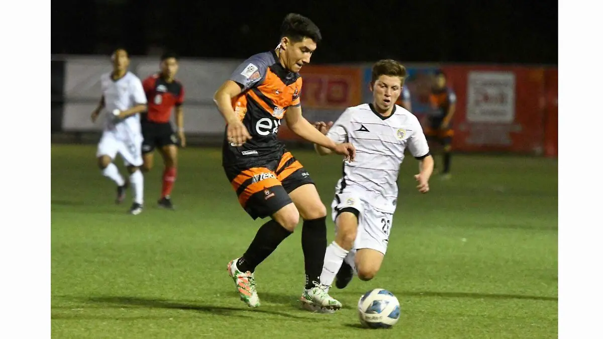 NOTA 02 Cachanillas 1