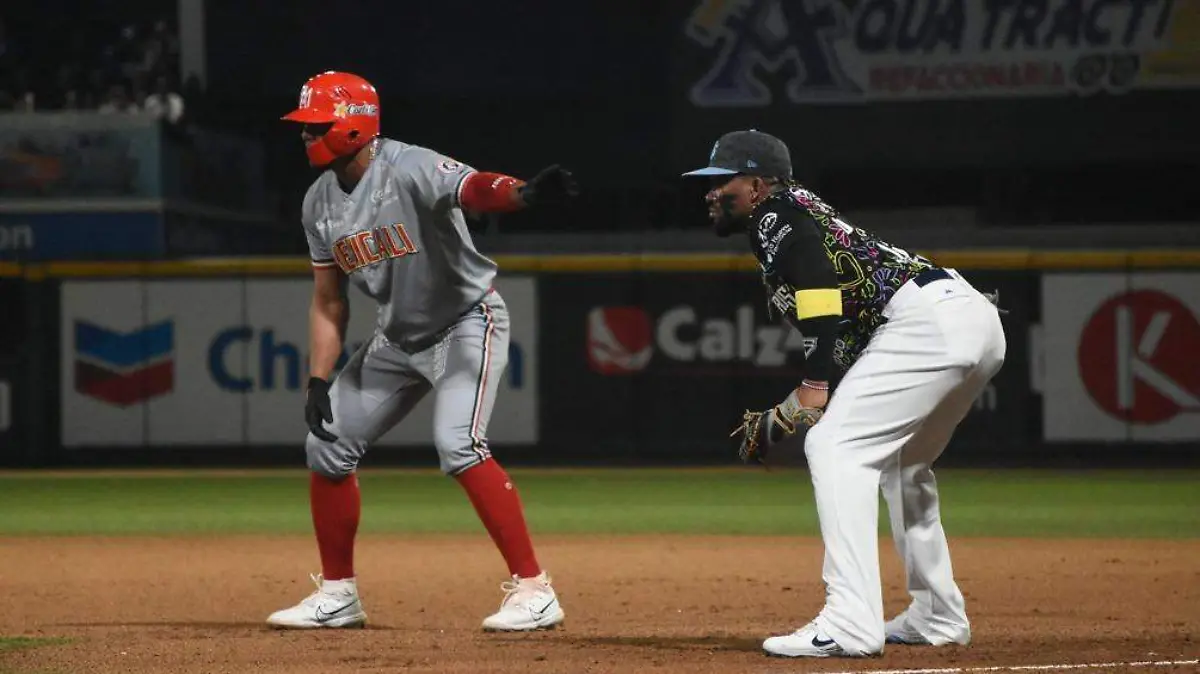 WhatsApp Image 2024-01-01 at 8.37.46 PM