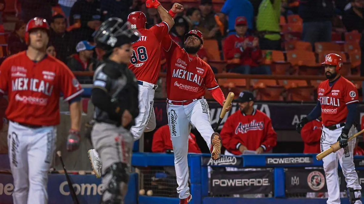 WhatsApp Image 2022-11-09 at 10.45.16 PM