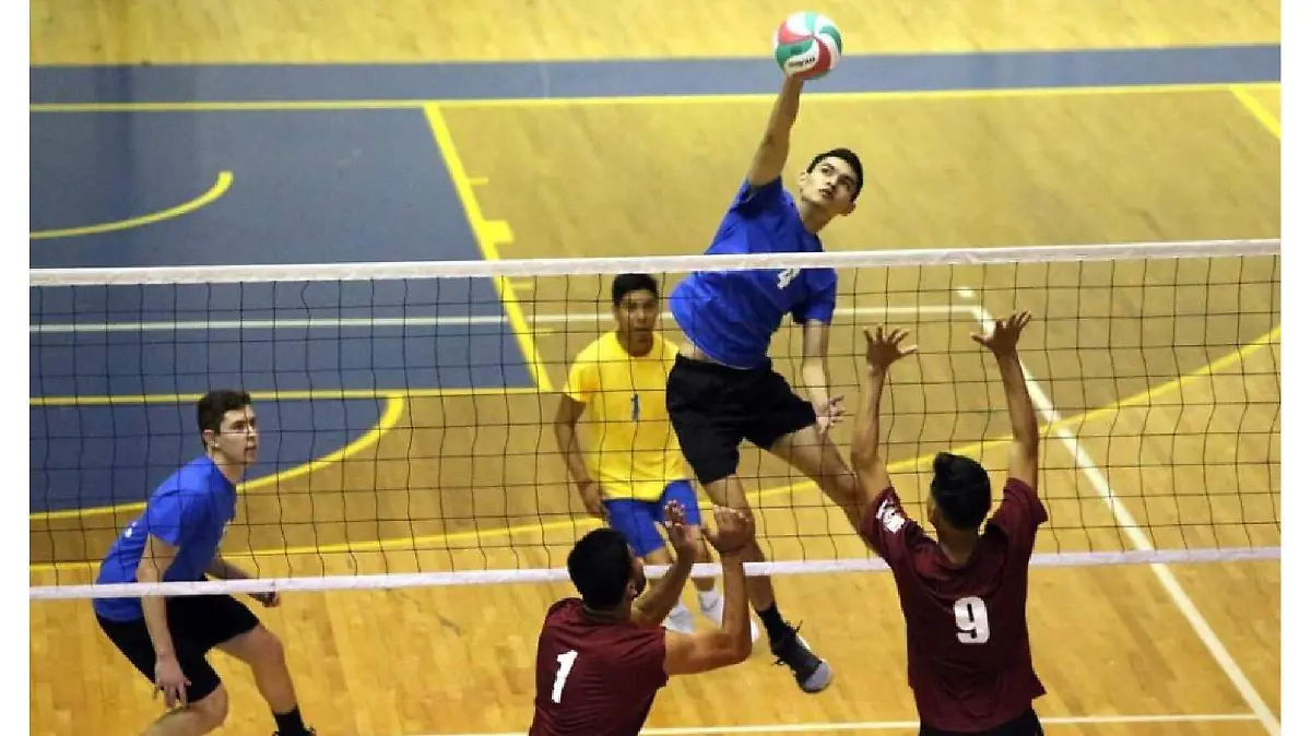 Captura de pantalla (250)-01