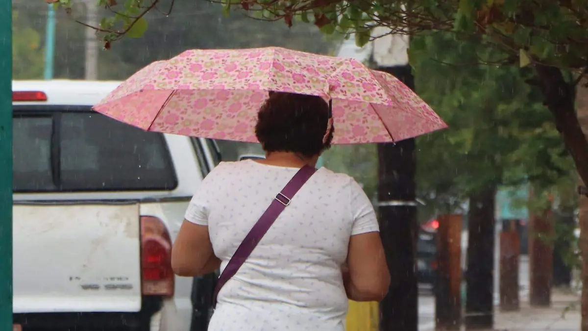 WhatsApp Image 2023-08-19 at 9.50.44 AM