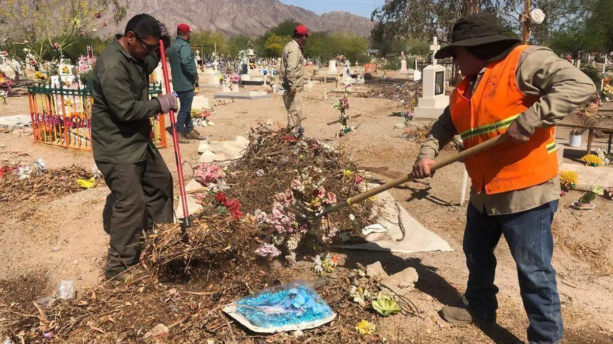 WhatsApp Image 2023-05-08 at 1.37.58 PM