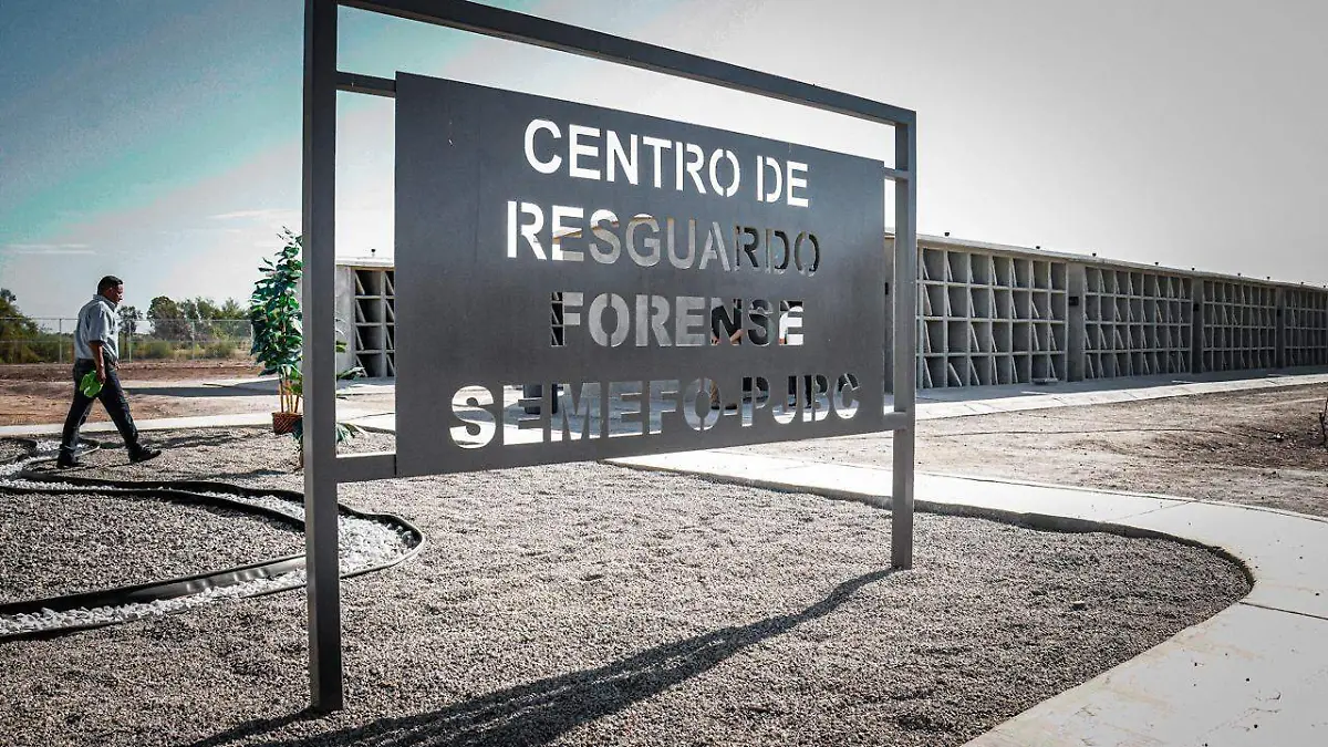 WhatsApp Image 2024-06-25 at 9.16.50 AM