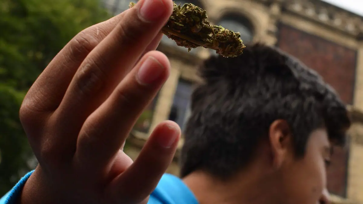 526556_Uso marihuana Mexico-1_web