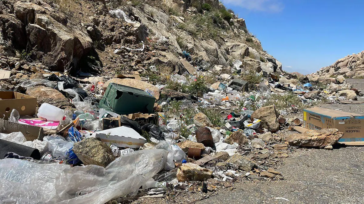 WhatsApp Image 2024-04-27 at 12.09.25 PM