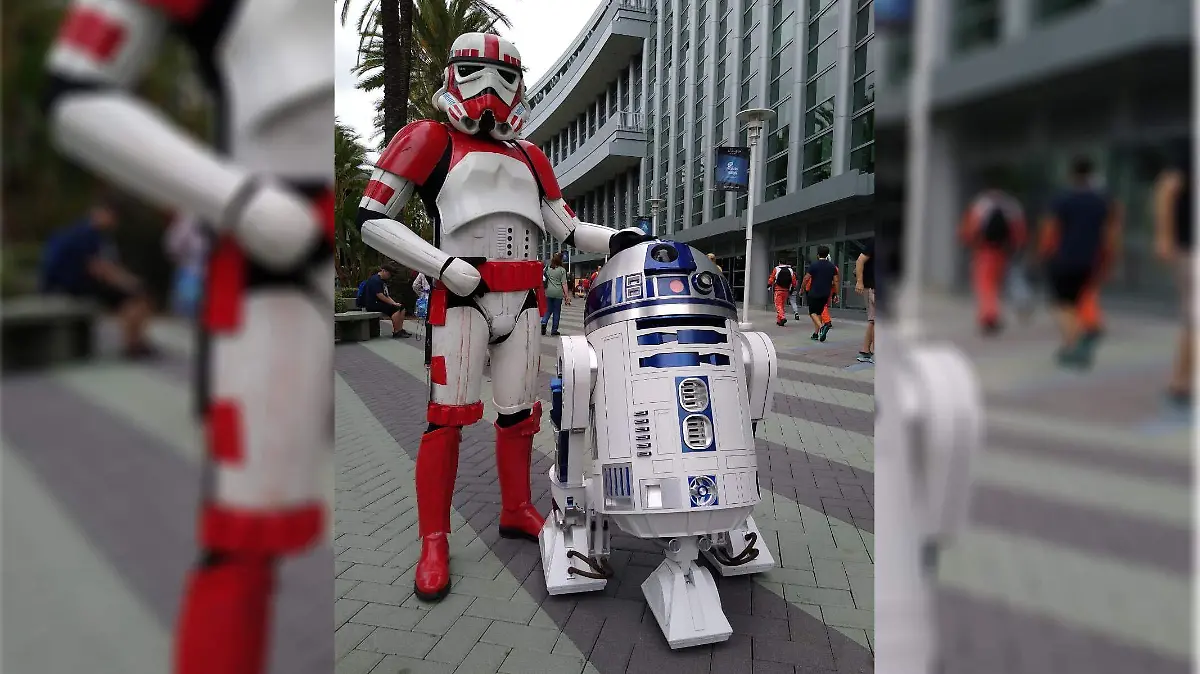 IMG-20220527-WA0042 copia copia