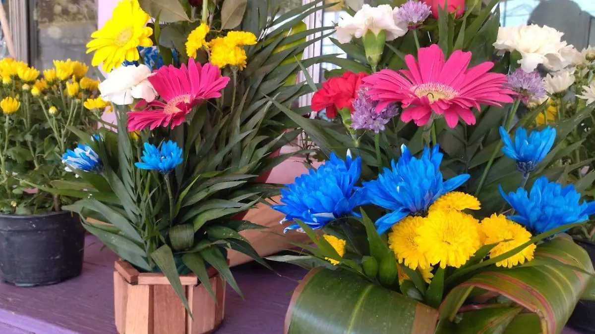 WhatsApp Image 2023-05-03 at 12.22.35 PM