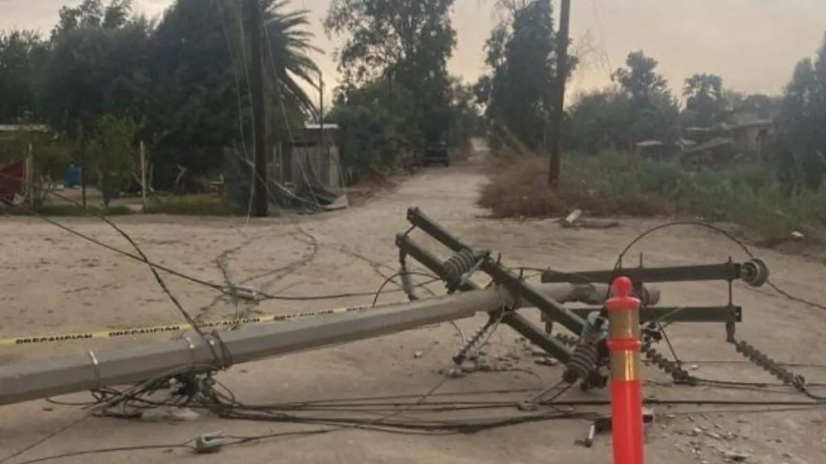 WhatsApp Image 2022-10-06 at 7.17.52 PM (1)