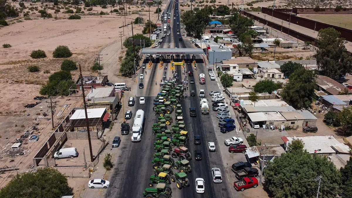 WhatsApp Image 2023-05-15 at 11.41.50 AM