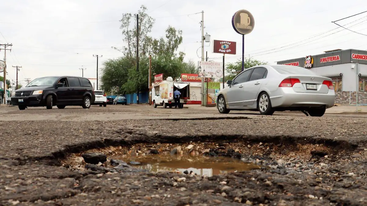 bache 3