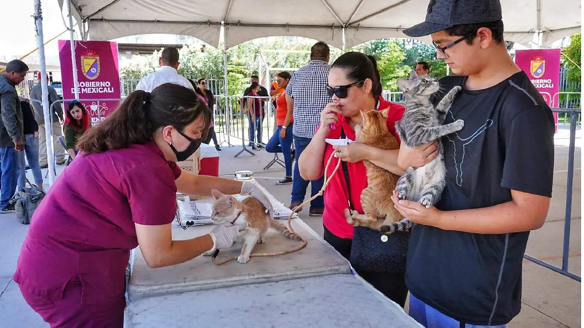 WhatsApp Image 2022-06-04 at 1.35.39 PM-01