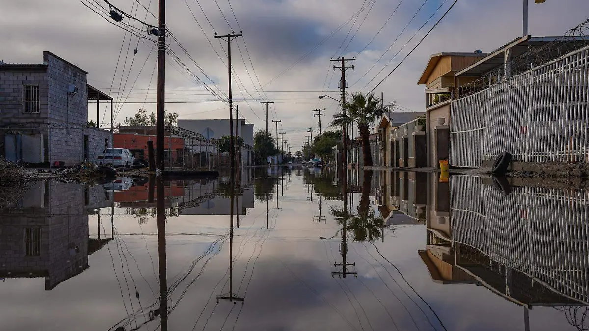 WhatsApp Image 2024-01-23 at 9.47.21 AM (1)