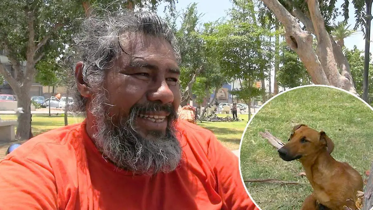 WhatsApp Image 2022-06-24 at 4.39.44 PM